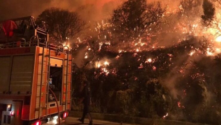İzmir'de dağlık alanda yangın!