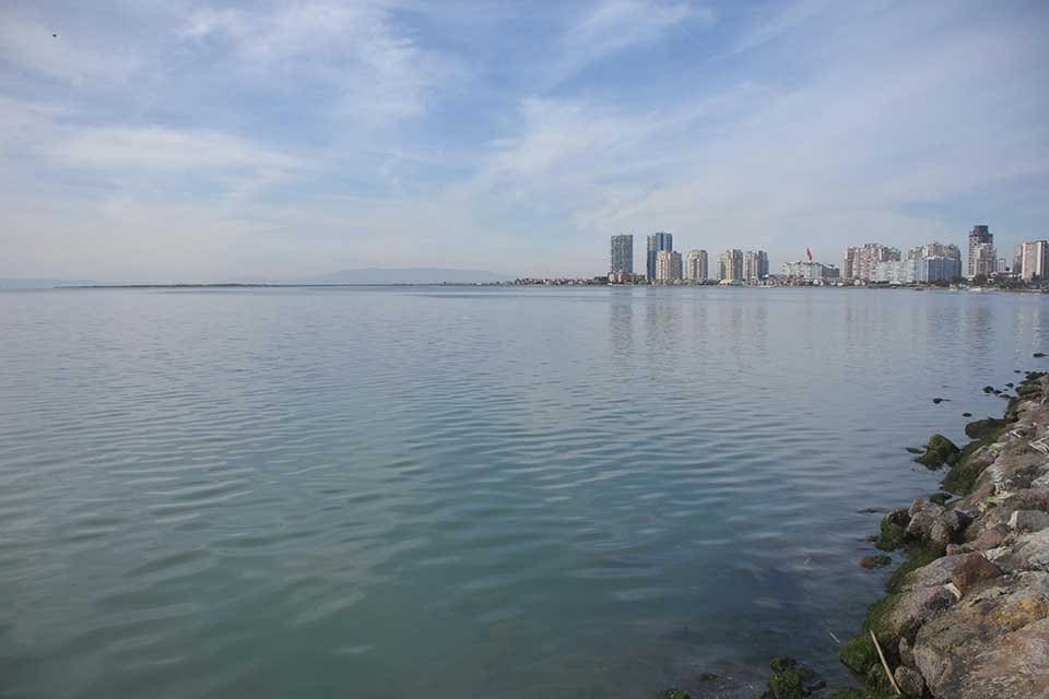 İzmir'in Karşıyaka il&ccedil;esinde, denizin y&uuml;zeyini yeşil renge kaplayan deniz marulları