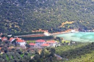 Urla Zeytineli Mahallesi'nde yer alan 236 ada 1 nolu parsele