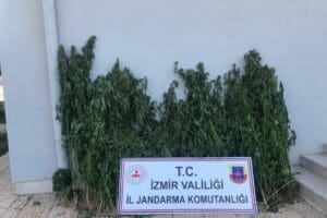 İZMİR'in 8 il&ccedil;esinde uyuşturucu satıcılarına y&ouml;nelik eş zamanlı baskınlarda 51