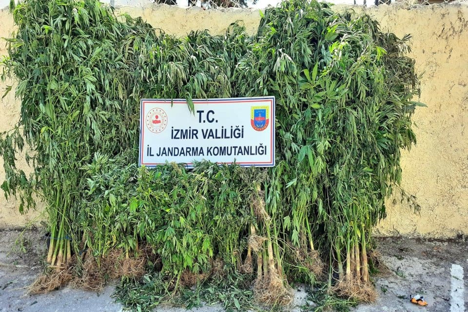 İzmir'in 10 il&ccedil;esinde, jandarmanın d&uuml;zenlediği eş zamanlı baskınlarda, 3 bin