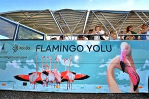 İzmir B&uuml;y&uuml;kşehir Belediyesi&rsquo;nin şirketlerinden İzDoğa&rsquo;nın 10 Mayıs 2022&rsquo;de başlattığı &ldquo;Flamingo