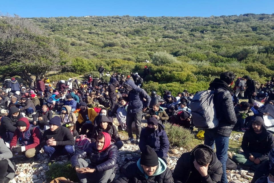 İzmir'in 8&nbsp;il&ccedil;esinde,&nbsp;İl Jandarma Komutanlığı ekiplerince 1 haftada ger&ccedil;ekleştirilen operasyonlarda, 343