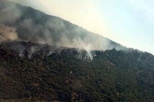 &nbsp; İzmir'in &Ouml;demiş il&ccedil;esindeki ormanda &ccedil;ıkan yangın, kontrol altına alındı.