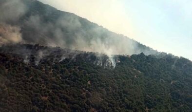 İzmir'de iki orman yangını: Kontrol altına alındı