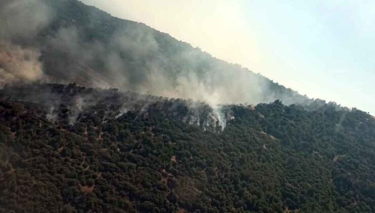 İzmir'de iki orman yangını: Kontrol altına alındı