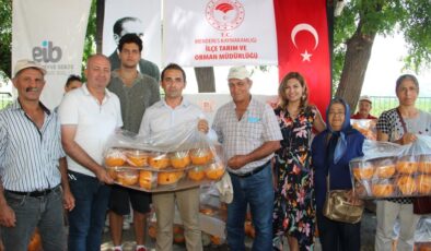 İzmir'de iyi tarım uygulamaları: Akdeniz meyve sineği popülasyonu azaltılacak