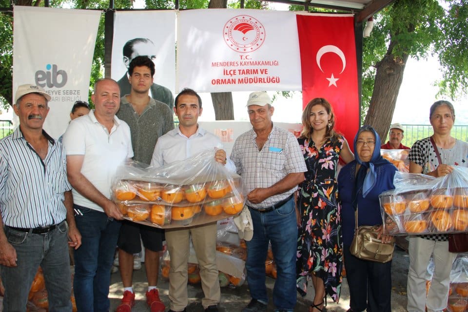 Rekolte kaybını &ouml;nlemek i&ccedil;in Akdeniz Meyve Sineği ile m&uuml;cadele devam