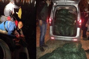 İzmir'de ger&ccedil;ekleştirilen denetimlerde yasa dışı yollarla avlandığı belirlenen yaklaşık 2
