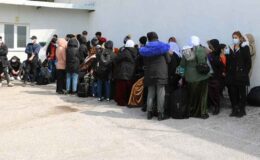 İzmir'de kaçak göçmen operasyonu! Yüzlerce kişi yakalandı…