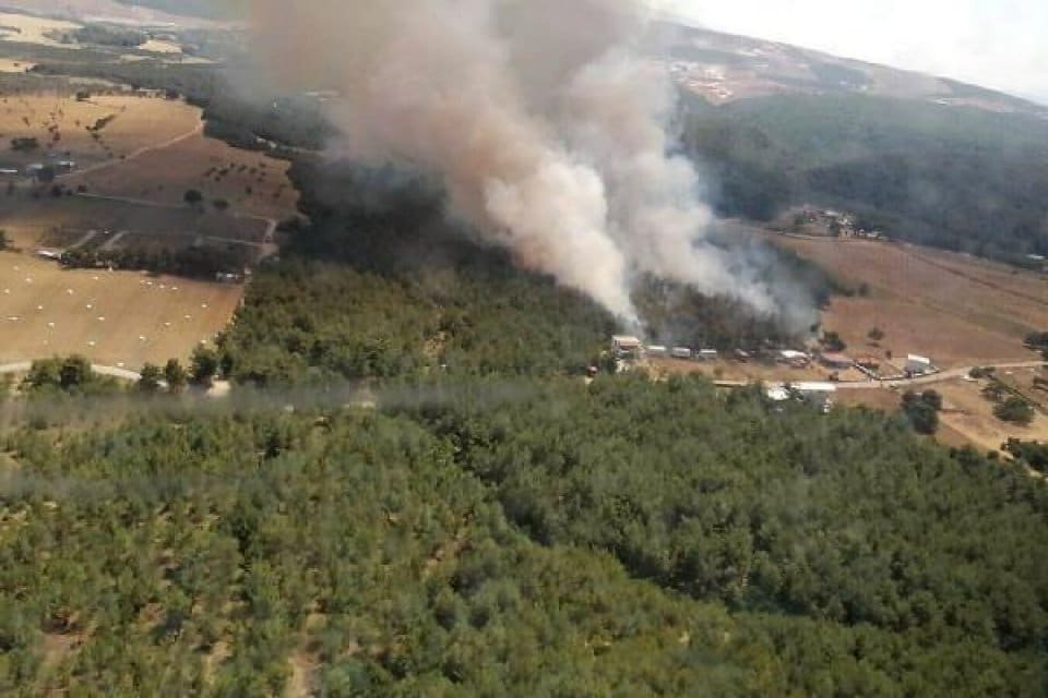 &nbsp;İzmir'in Bornova il&ccedil;esindeki ormanlık alanda, hen&uuml;z belirlenemeyen bir nedenle yangın