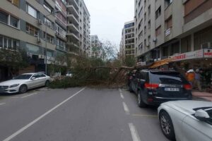 İzmir'de kuvvetli r&uuml;zgar nedeniyle devrilen ağa&ccedil;, park halindeki ara&ccedil;ların &uuml;zerine