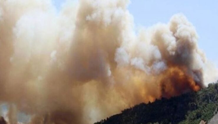 İzmir'de makilik alanda çıkan yangın söndürüldü, soğutma çalışmaları sürüyor