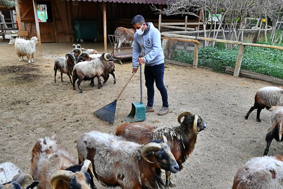 İzmir B&uuml;y&uuml;kşehir Belediyesi &ccedil;evre projelerine bir yenisini daha ekledi. Park