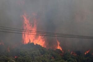 İzmir'in Fo&ccedil;a il&ccedil;esinde orman yangını &ccedil;ıktı. Yangın, ekiplerin uzun s&uuml;ren