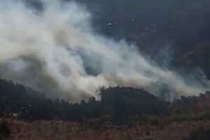 İZMİR&rsquo;in Bergama il&ccedil;esinde, ormanda yangın &ccedil;ıktı. Ekipler, havadan ve karadan