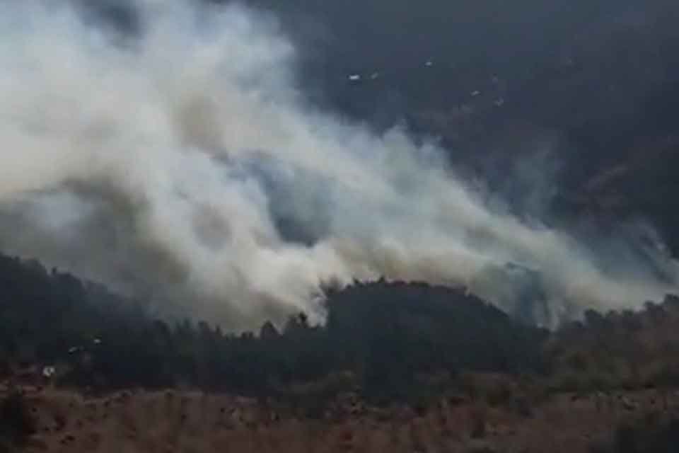 İZMİR&rsquo;in Bergama il&ccedil;esinde, ormanda yangın &ccedil;ıktı. Ekipler, havadan ve karadan