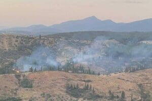 İzmir'in Gaziemir il&ccedil;esinde orman alanında &ccedil;ıkan yangının s&ouml;nd&uuml;r&uuml;lmesi i&ccedil;in Orman