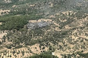 İzmir'in Dikili il&ccedil;esinde, orman yangını &ccedil;ıktı. Alevlere havadan ve karadan