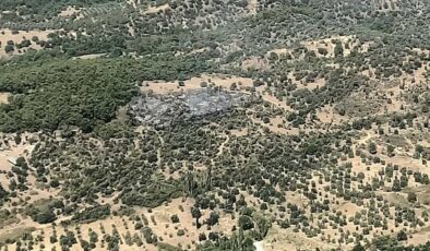 İzmir'de korkutan orman yangını kontrol altına alındı