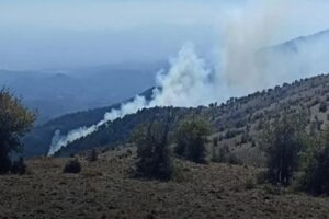 İzmir'in Bergama il&ccedil;esinde ormanlık alanda yangın &ccedil;ıktı. Ekiplerin 2 helikopter
