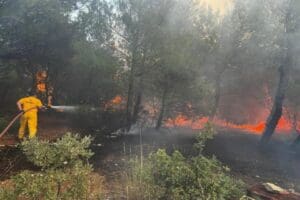 İzmir'in Bergama il&ccedil;esinde, hen&uuml;z belirlenemeyen nedenle orman yangını &ccedil;ıktı. Ekipler,