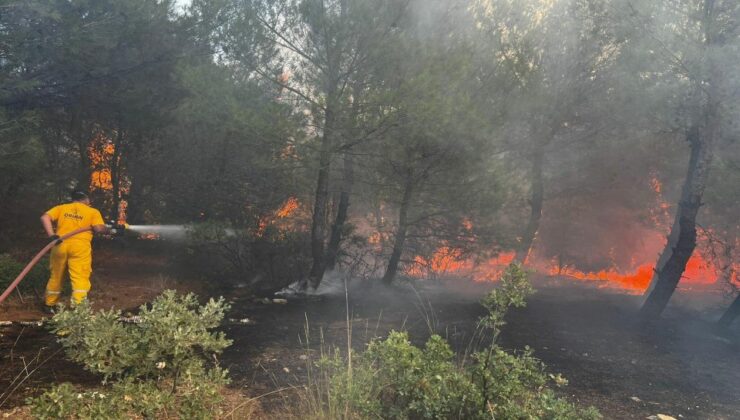 İzmir’de orman yangını paniği!