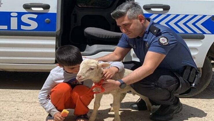 İzmir'de polis çocukların yüzünü güldürdü: İki çocuğun kuzu sevinci!