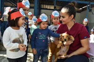 İzmir B&uuml;y&uuml;kşehir Belediyesi kısırlaştırılan sokak hayvanı sayısını artırmak i&ccedil;in İzmir