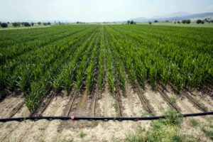 DSİ yatırımlarının kaynağını teşkil eden su, yaşamsal &ouml;neminin yanında t&uuml;m