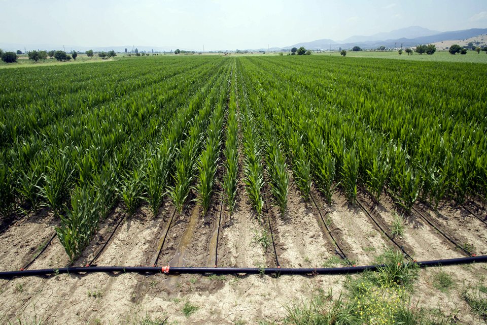 DSİ yatırımlarının kaynağını teşkil eden su, yaşamsal &ouml;neminin yanında t&uuml;m