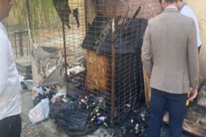 İzmir Seferihisar'da pitbull cinsi bir köpek, üzerine alkol döküldükten sonra