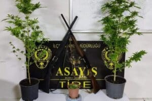 Tire il&ccedil;esinde, evinin balkonunda Hint keneviri yetiştiren E.&Ouml;., polisin operasyonuyla