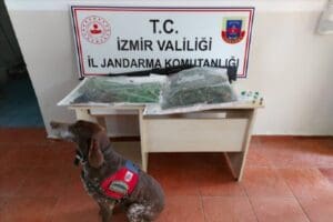 İzmir'de d&uuml;zenlenen uyuşturucu operasyonlarında 1 kilo 500 gram esrar ile