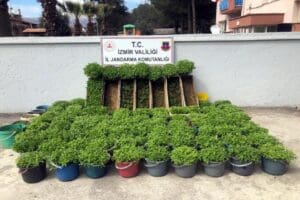 İzmir'in Kiraz il&ccedil;esinde, jandarmanın bir eve d&uuml;zenlediği operasyonda, arı kovanı