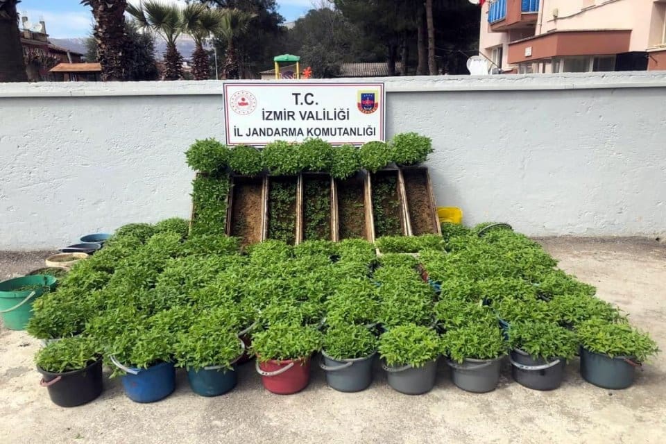 İzmir'in Kiraz il&ccedil;esinde, jandarmanın bir eve d&uuml;zenlediği operasyonda, arı kovanı