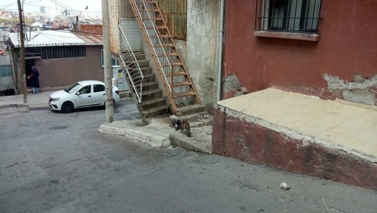 İzmir’deki ‘koca dehşeti: O evi boşaltmadığı için öldürmüş!