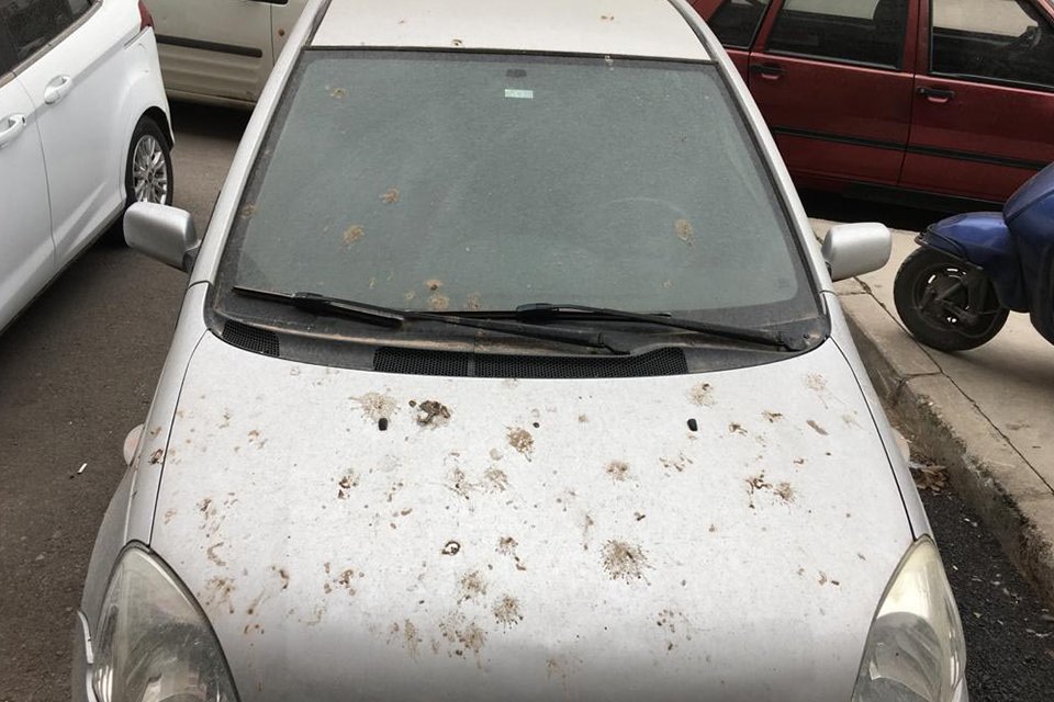 İzmir'de, r&uuml;zgarın Kuzey Afrika'dan taşıdığı tozlar, yağmurla birlikte &ccedil;amur olarak