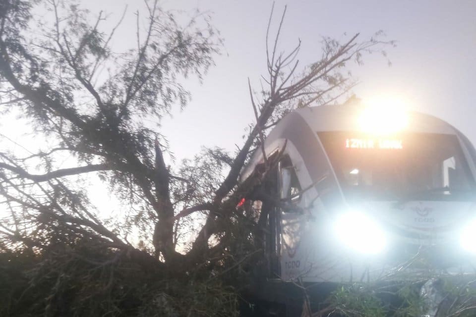 Manisa'da, Uşak'tan İzmir y&ouml;n&uuml;ne gitmekte olan trenin &uuml;zerine, ge&ccedil;işi sırasında&nbsp;s&ouml;ğ&uuml;t