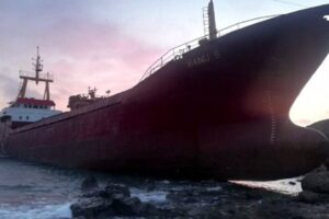 Tekirdağ'ın Marmaraereğlisi'nden İzmir'in Aliağa limanına giden "Banu-S" isimli gemi, &Ccedil;anakkale'nin