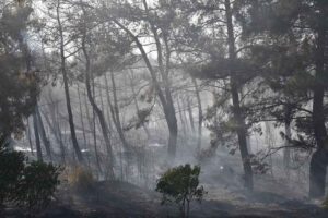 İZMİR'in Gaziemir il&ccedil;esinde &ccedil;ıkan orman yangınına, havadan ve karadan m&uuml;dahale