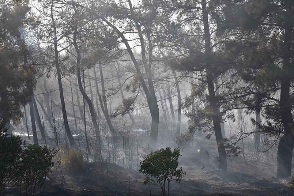 İZMİR'in Gaziemir il&ccedil;esinde &ccedil;ıkan orman yangınına, havadan ve karadan m&uuml;dahale