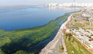 İzmir için korkutan uyarı: Körfez marul tarlasına dönüşüyor!