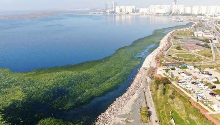 İzmir için korkutan uyarı: Körfez marul tarlasına dönüşüyor!