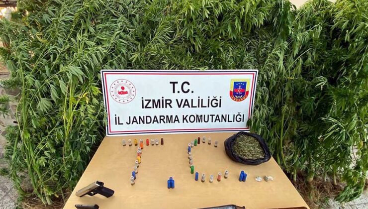 İzmir'in 10 ilçesinde zehir tacirlerine operasyon; 12 tutuklama