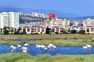 İzmir B&uuml;y&uuml;kşehir Belediyesi&rsquo;nin şirketlerinden İzDoğa&rsquo;nın y&uuml;r&uuml;tt&uuml;ğ&uuml; &ldquo;Flamingo Yolu&rdquo; projesiyle İzmirliler,