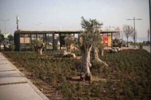 İzmir B&uuml;y&uuml;kşehir Belediyesi Başkanı Tun&ccedil; Soyer&rsquo;in iklim krizine ve kuraklığa