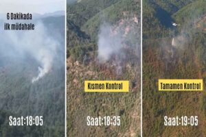 İZMİR'in Bergama il&ccedil;esinde orman, Dikili il&ccedil;esinde ise otluk yangını &ccedil;ıktı.