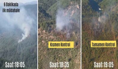 İzmir'in iki ilçesinde orman ve otluk yangını… Anında müdahale, tamamen kontrol