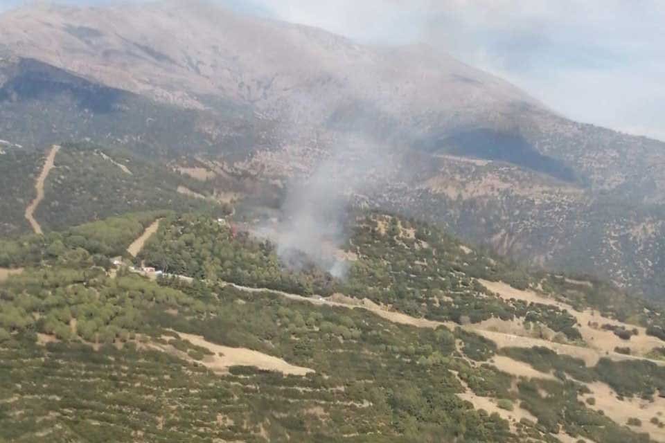 İzmir'in &Ouml;demiş il&ccedil;esinde orman, Urla'da da makilik alanda yangın &ccedil;ıktı.